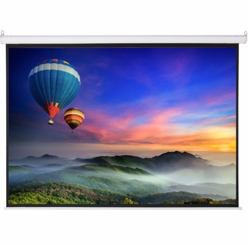 Pro Projection Motorized Screen