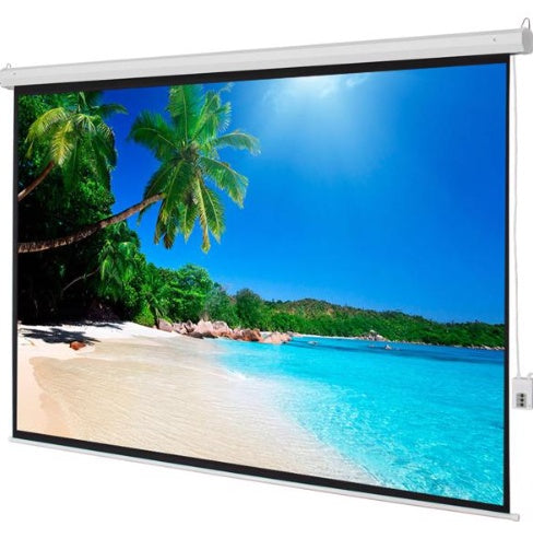 Pro Projection Motorized Screen
